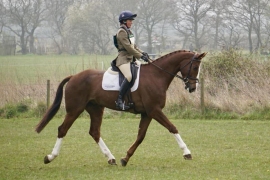S.M. CORTEAUX (Cooley Lancer) wins 2 times in England!