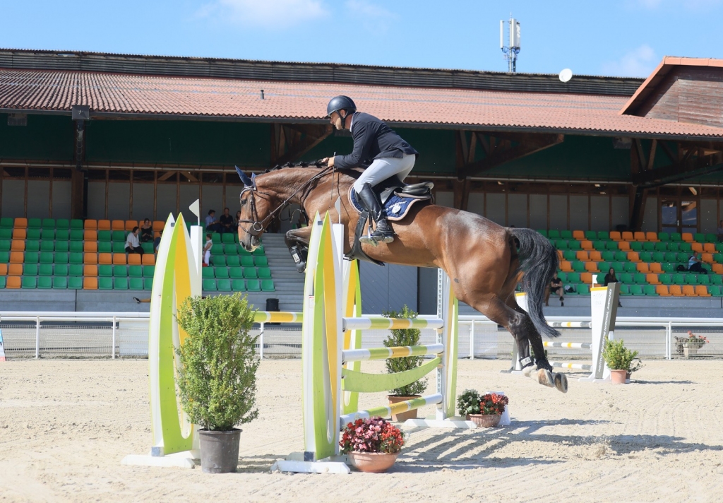 2016: S.M. TABACCO (Tornedo FCS x Nabab de RÃªve)