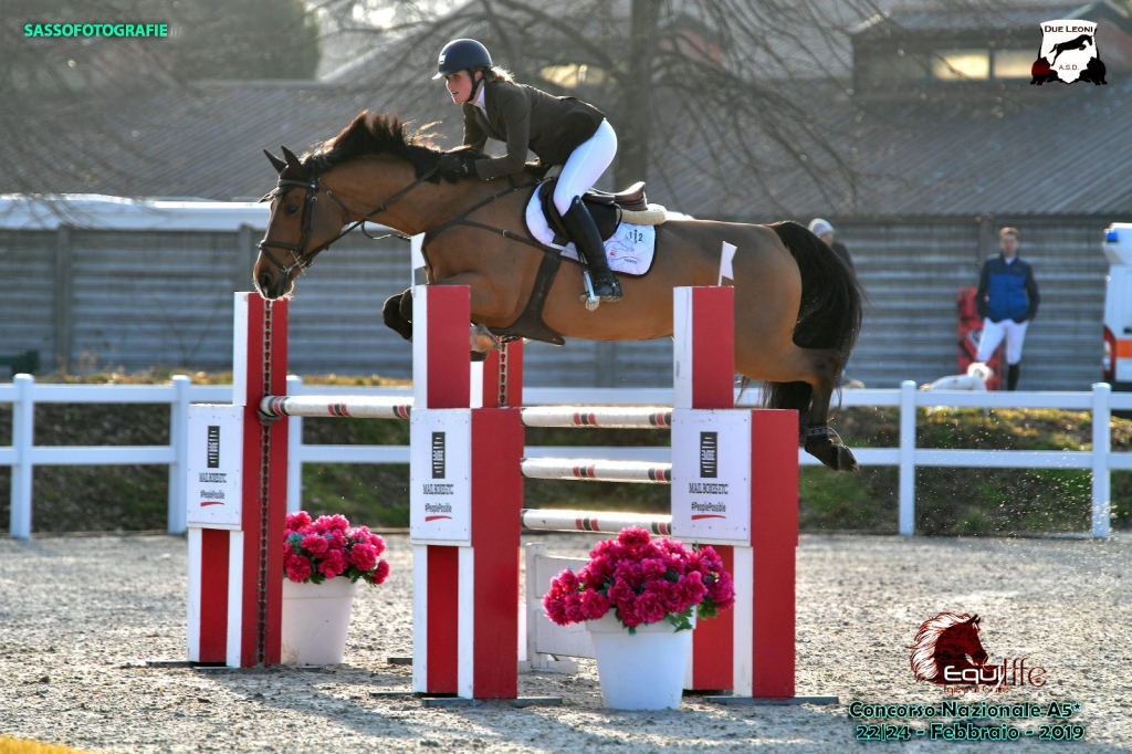 BERLIOZ DE GRUSE (Untouchable x Jumpy des Fontaines)